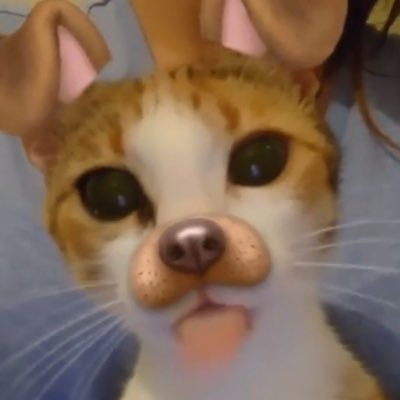 retaoded's profile picture. 如果我们的爱是 Tragedy, 为什么你是我的 Remedy ..?