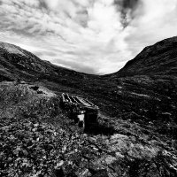 Chen Dayuan (@chen_dng) 's Twitter Profile