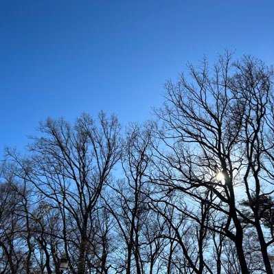 AtyMonogusa's profile picture. ランダム生成名