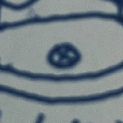 bzknsncnsncnsncさんのプロフィール画像