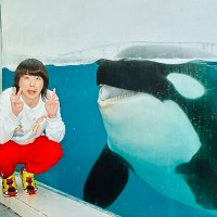 キムアス(アイアムアイ)🐅🐅🐅🐅🐅 (@kimu821asu) 's Twitter Profile Photo キムアス(アイアムアイ)🐅🐅🐅🐅🐅 (@kimu821asu) 's Twitter Profile Photo