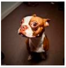 shittakashisays's profile picture. the mind of a japanese architect, curator, visionary, genius @theLEGroom
... ... what is the tweet be?