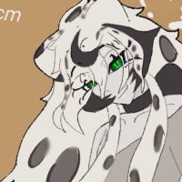 獣@タナトムナ🐆🏔 (@kmonodaiski) 's Twitter Profile