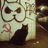 Reydman666's profile picture. Estudiante de Periodismo Profesional 
                          Me gustan los animales y tocar el ukulele