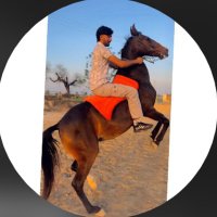 ਪਵਿੰਦਰ ਜੱਜ (@pavinderjudge_) 's Twitter Profile