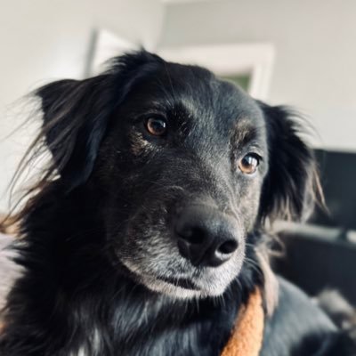 carlos_dot_me's profile picture. 