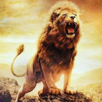 💛❤️ Rey LeoN ❤️💛 (@1reyleon1) 's Twitter Profile