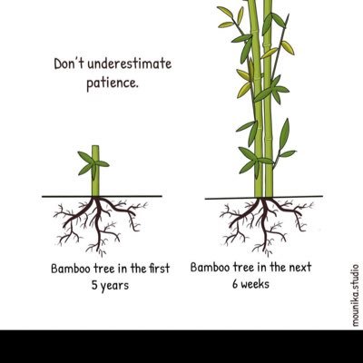 Ochola1Boaz's profile picture. ICT,Crypto Bitcoin and NFTS,memes,Jailstool diehard Fitness and mental health trainer ⚧