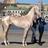 alfarees911's profile image