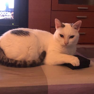 a130594zg's profile picture. 