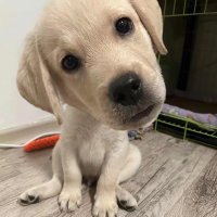 周潇qi（互推私） (@zhoxiao678) 's Twitter Profile Photo