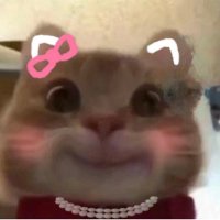 巴黎时装周翘臀嫩模 (@lelesooolcool) 's Twitter Profile