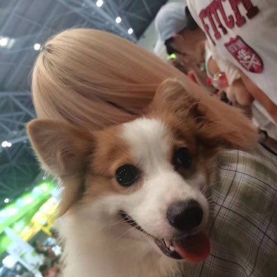 fufuitsme's profile picture. 