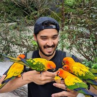 Novjean (@novj3an) 's Twitter Profile