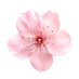 fatma (@tomabintm) Twitter profile photo fatma (@tomabintm) Twitter profile photo