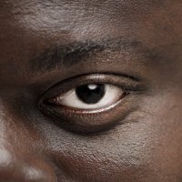 Théâtre du Nord (@theatredunord) 's Twitter Profile