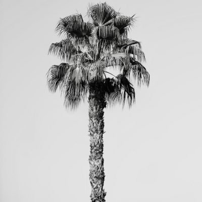 Vegasmelanie's profile picture. livin’ travel