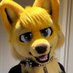 ButterDog 🧈/Ren (@renthawolfad) Twitter profile photo ButterDog 🧈/Ren (@renthawolfad) Twitter profile photo