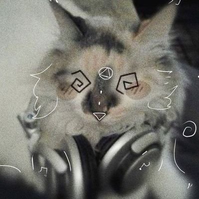 lluvioo_'s profile picture. sup