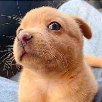 HSLRGM05's profile picture. 