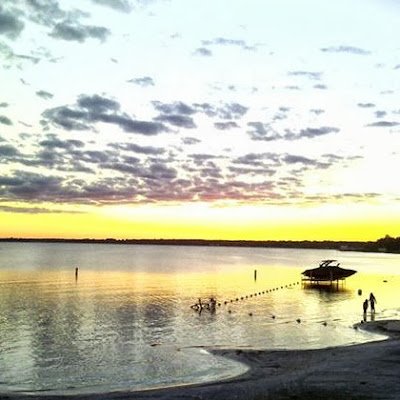 WallaceSte70188's profile picture. 