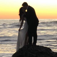 Tin_Man (@tinman__x) 's Twitter Profile Photo