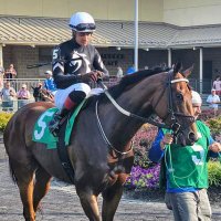 Mara Zeman (@marazeman) 's Twitter Profile Photo