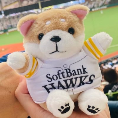 hawks7lovetomo's profile picture. 晃さん最推しです⑦🥰大関くん沼💘今宮さん 柳田さん 上沢くん 嶺井さん 正木くん 廣瀬くん モイネロくん 尾形くん 杉山くん 笹川くん 伴コーチも推しています🙌 ホークス大好き💕全球団ファン🆗🤝批判は苦手🙈ピアノ講師＆演奏しています🎹選手の頑張りが、自分の練習の励みにもなっています✨リスペクト🥹🙏