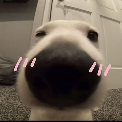 migsxss's profile picture. 