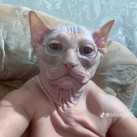 JoseesXD (@joseesxd_wr) 's Twitter Profile