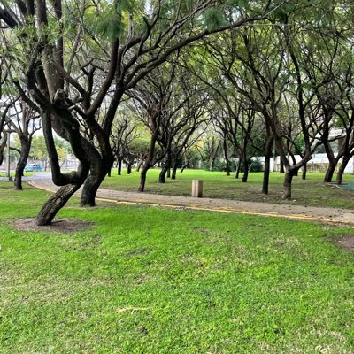 Tlvt347700's profile picture. אוהב גברים מכל הסוגים    , dm יתקבלו בשמחה
