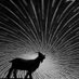 turbospeedgoat (@turbospeedgoat) Twitter profile photo