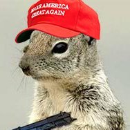 Dianne McMurry "just saying" (@dianne_mcmurry) 's Twitter Profile Photo