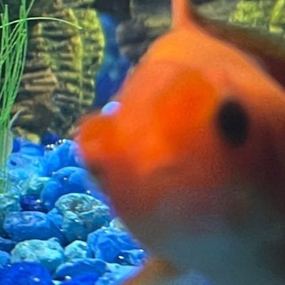 hoonyacheri's profile picture. 