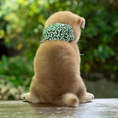 Mame48_mini's profile picture. Graduate School of Pharmaceutical Sciences