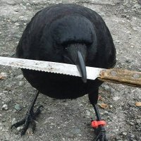 knifewith.cro (@andmjones) 's Twitter Profile Photo