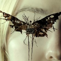 The Watchers (@watchersmovie) 's Twitter Profile Photo The Watchers (@watchersmovie) 's Twitter Profile Photo
