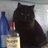 jeffreyGrooteM's profile image