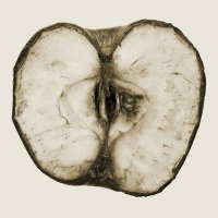 Rotten Apple (@another_userxx) 's Twitter Profile