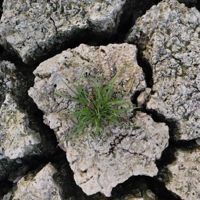 ex05xux's profile picture. i can do it.