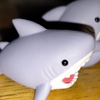のんさんのプロフィール画像