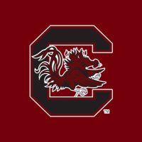 Chastain Softball Camps (@chastainsbcamps) 's Twitter Profile
