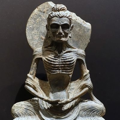 ifc24624328's profile picture. 
