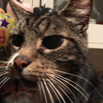 anniemaguire70's profile picture. 