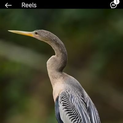 sevenhao2014's profile picture. 