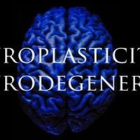 Neuroplasticidad y Neurodegeneración (@npnd_cr) 's Twitter Profile Photo