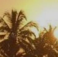 Guiller43170960's profile picture. 