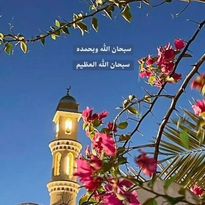 prpo90's profile picture. سبحان الله وبحمده. سبحان الله العظيم 💗

Jeddah🌊💙💙