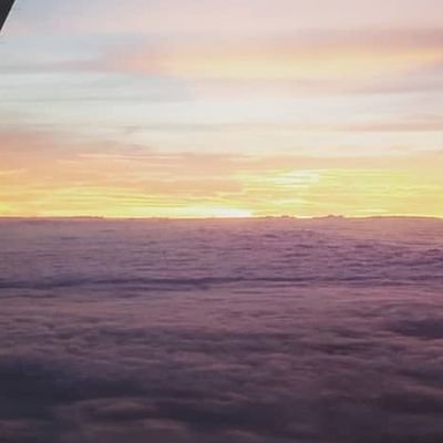 kawiwoole's profile picture. 