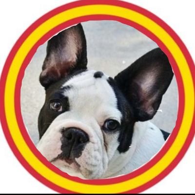 Mallorquín y pequeño empresario.
Abascal y Pablo Iglesias tienen un chalet, pero solo a uno de ellos le dan vergüenza los políticos que viven en casoplones.